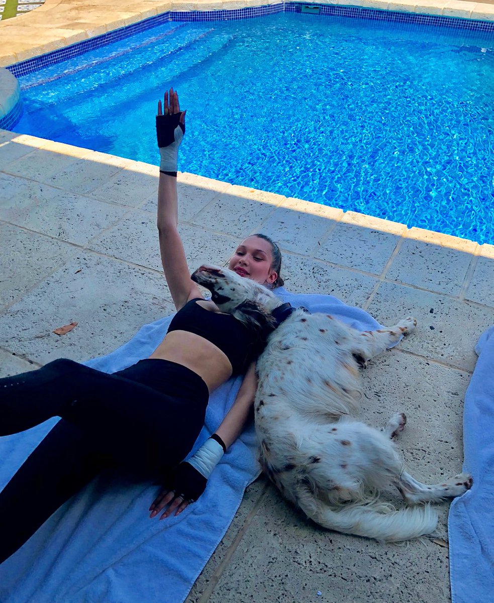 HadidNews's tweet photo. Bella: “Wooowww!!!!!! I love this....Congratulations @Wag for donating over 5 million meals to shelter dogs across America.... through its partnership with @greatergoodorg no puppy or person should ever go unloved or unfed... So proud!!! #AD #charlieboyworkouts #streeetch” https://t.co/wQhSRYydHq