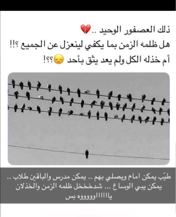 _noon_882's tweet photo. 😂💔 https://t.co/GfbAdBq1Rg