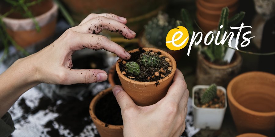 For all the green-fingered gardeners out there - we've got everything you could need to bring your garden to life! ow.ly/G00O30jKKuU