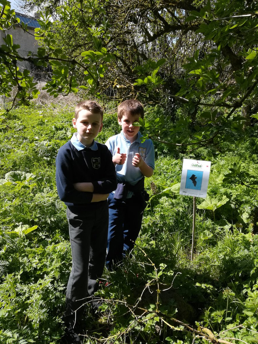 stbrigidsCmills's tweet photo. P5 enjoyed this afternoons #sharedclass with Cloughmills PS #ForestSchool
#livetogetherlearntogether
😃🌲🌳🌲🌳😃 https://t.co/ZQchwhOgOI