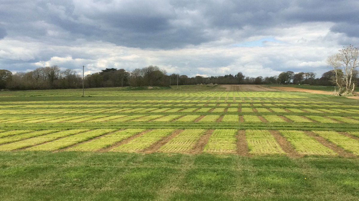 DLF_IRL's tweet photo. DLF Simulated grazing plots in Waterford which had their 2nd cut last week. They received fertiliser this week and will be cut again in 3 weeks. If you have any questions on our trial grounds, Jimmy Staples, DLF Trials Manager will be happy to answer them. https://t.co/T7OC64QDGN