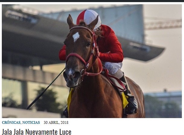 hipicaglobal's tweet photo. “Jala Jala nuevamente luce”, en: https://t.co/axXiC5OOG4
@hipodromomex,@harasgranmatiz,@josedaniel11,@comunicacionJDG,@deportesglobal,@zonahipica,@spinozaimage,@jchoderlin https://t.co/LiJjL8bz31