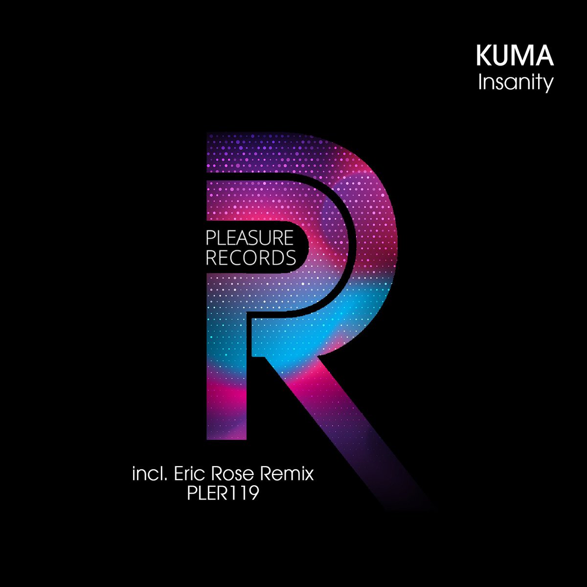 PleasureRecords's tweet photo. OUT NOW! #KUMA - Insanity. Incl. @EricRoseDJ Remix 
Buy &amp; Support: https://t.co/Rh14wQcHRh https://t.co/1nO4Kr0Qx0