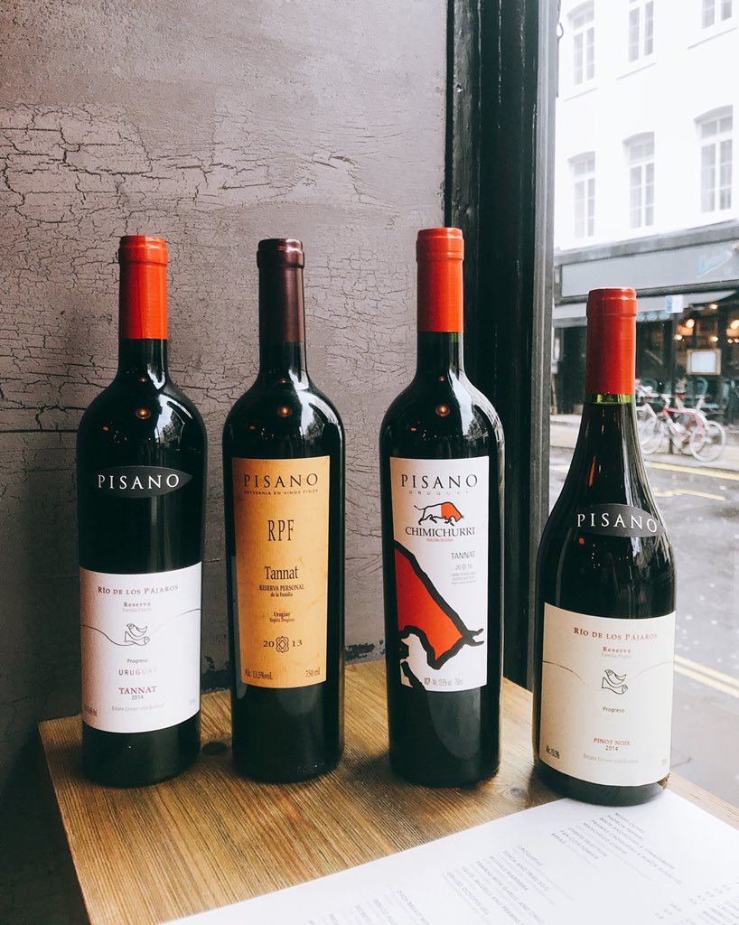 From  Uruguay:
🇺🇾 🍷
•Río de los pájaros. Tannat.
•Reserva Familia. Tannat.
•Chimichurri. Tannat.
• Pisano Reserva. Pinot Noir.