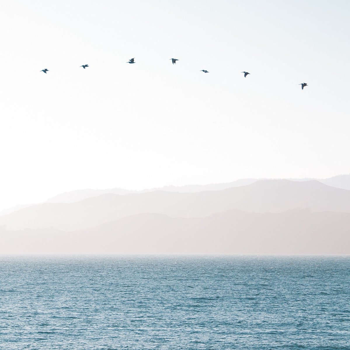 Sometimes, a Flok needs to change directions — depending on the conditions of the current path. Brb... We're adjusting our sails and preparing for an incredible journey. #TogetherIsBetter