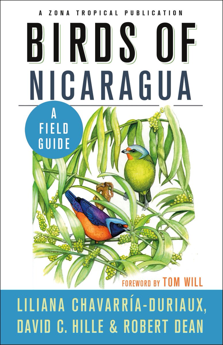 birdsofnica's tweet photo. Exciting times for #Nicaragua #birding! We now have TWO field guides dedicated to this fantastic country. It's time for the international birding community to discover the #birdsofnicaragua. @NeoBirdClub @neobirds #birdingnicaragua #ornithology #birds https://t.co/MnScr5LktF