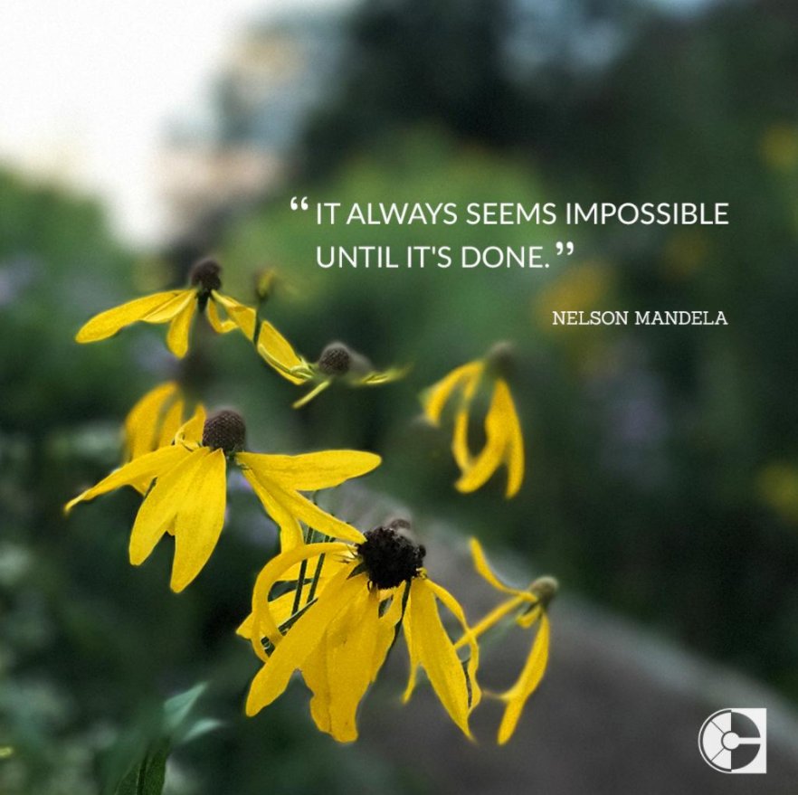 MMCGroupLP's tweet photo. We think Nelson was directly referring to Mondays. Put in your best work and start your week off strong!  @CareerBuilder #MondayMotivation https://t.co/yRWzO7fOIx