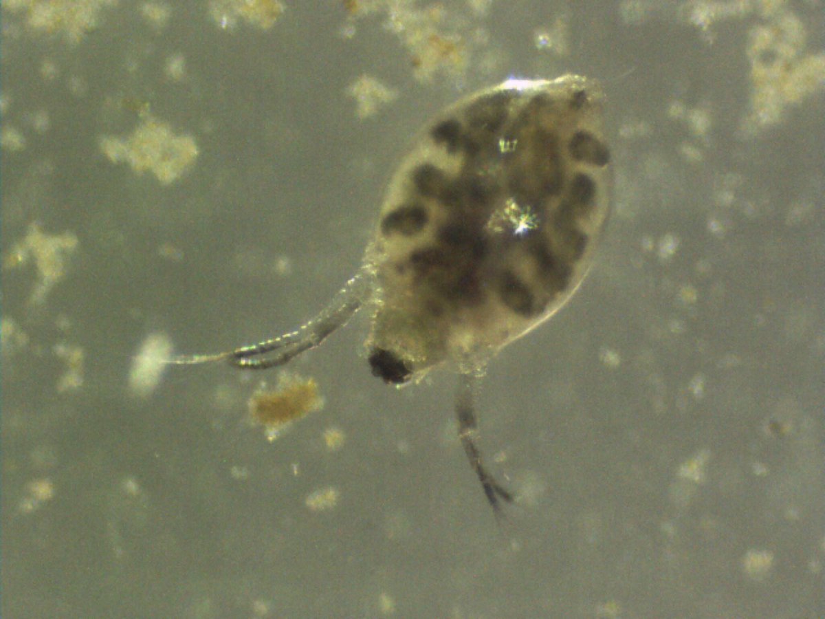 Lisa Jeter tweet media