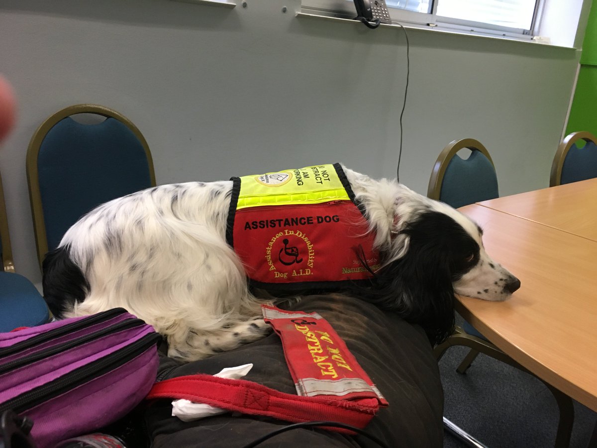 LucyAlexandria's tweet photo. How dogs do meetings ππ
@dogaid #AssistanceDog #MollyDog at @hospiceuk where she got to meet some adoring fans π
#dog #spaniel #hospice #palliativecare #hospiceuk #helperdog #MollyDogWithABlog #cockerspaniel #dogsoftwitter #dogsinmeetings #howdogsdomeetings #podcast #media https://t.co/5WyM16Uqf6
