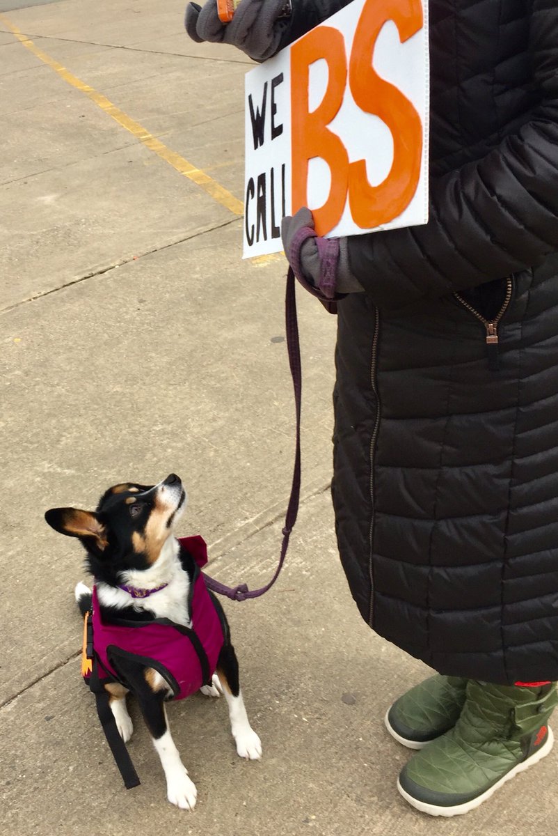 janna_bastone's tweet photo. #NationalAdoptAShelterPetDay #canineactivist #momsdemandaction #wecallbs #MarchForOurLives https://t.co/LUtqkElytG