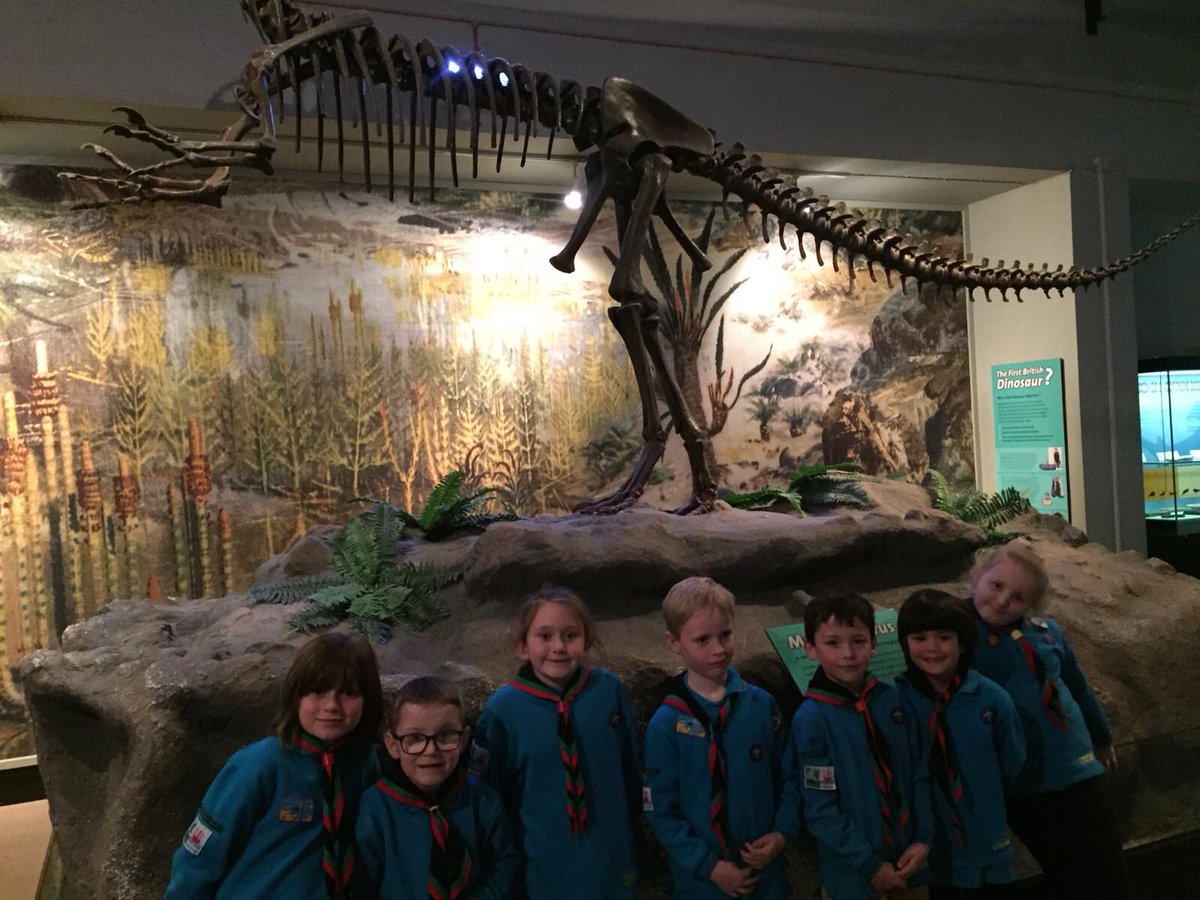 26th Picton Beavers tweet media