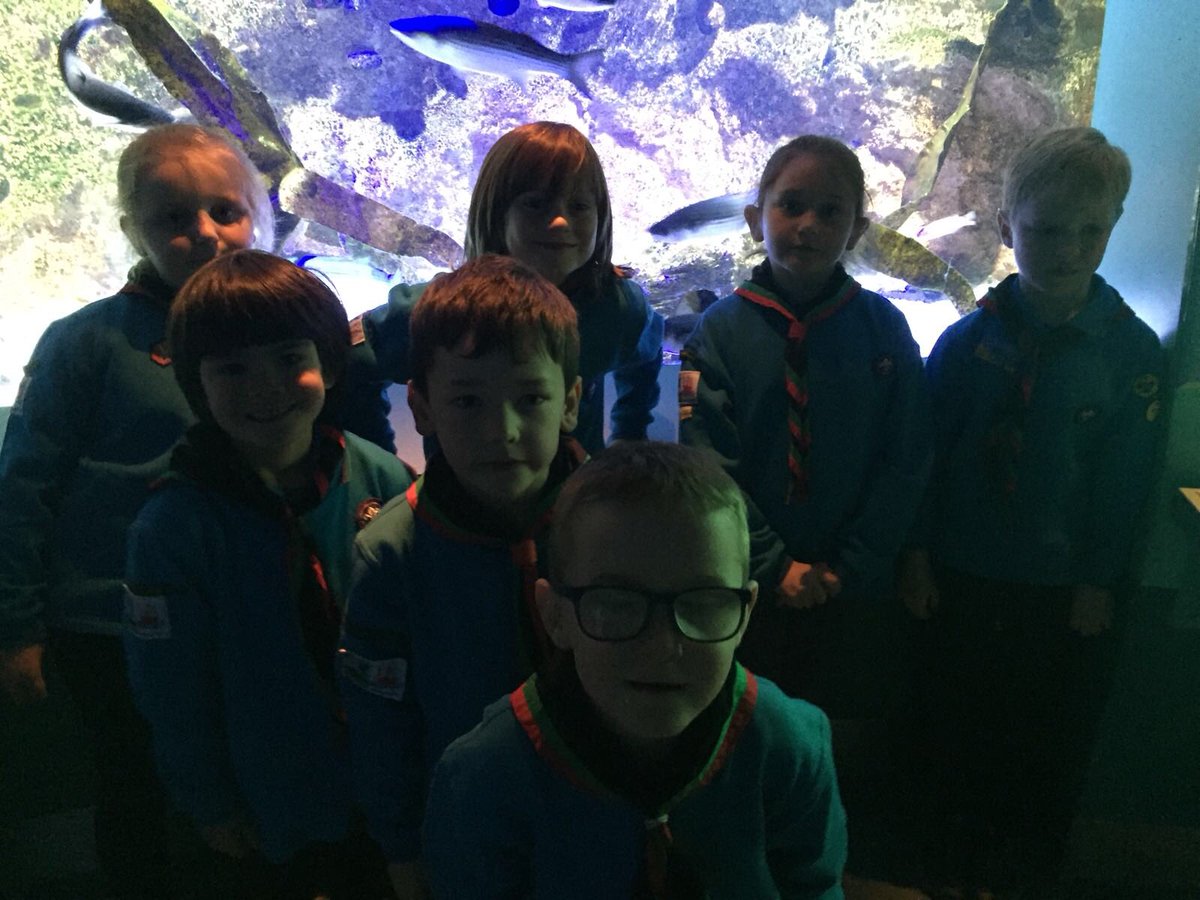 26th Picton Beavers tweet media