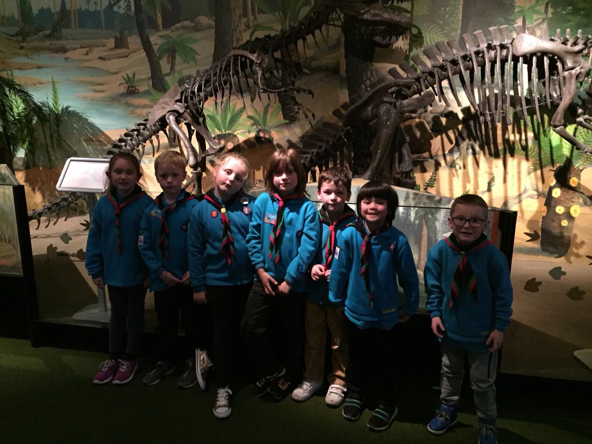 26th Picton Beavers tweet media