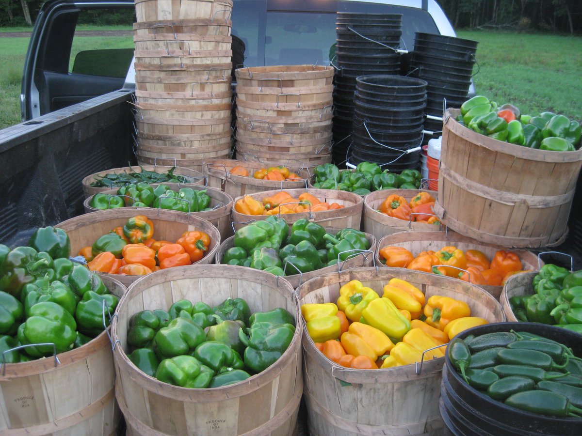 Thank you so much to <a href="/EBSB/">East Boston Savings</a> East Boston Savings Bank for your support of the <a href="/FarmShareFair/">Farm Share Fair</a>. We appreciate all the work you do for #local #independent businesses. See you on May 10th! Sign up here: bit.ly/2vr4dWm