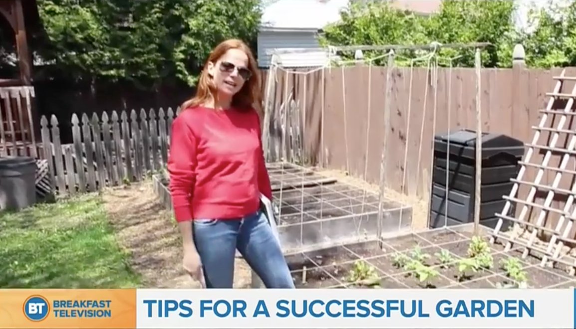 Five tips for a successful garden with @LaPetiteBette btmontreal.ca/videos/five-ti… https://t.co/ydT6XN8VfY