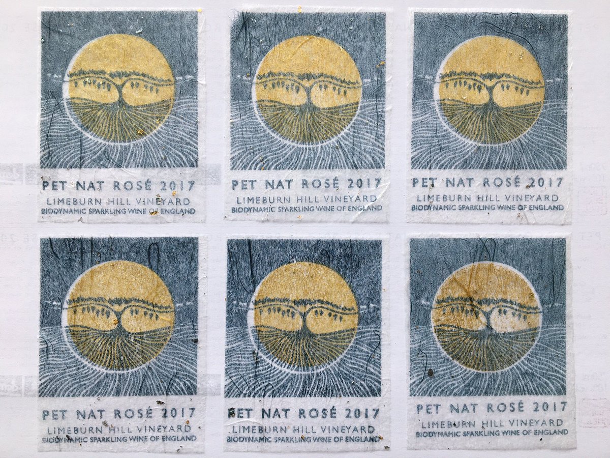 Vineyard tour and tasting @limeburnhill vineyard. 
SATURDAY SOLD OUT
There are still a few tickets left for Sunday. This is going to be a great experience, have a look at the event page for more enticing details and ticket info
eventbrite.co.uk/e/limeburn-hil…