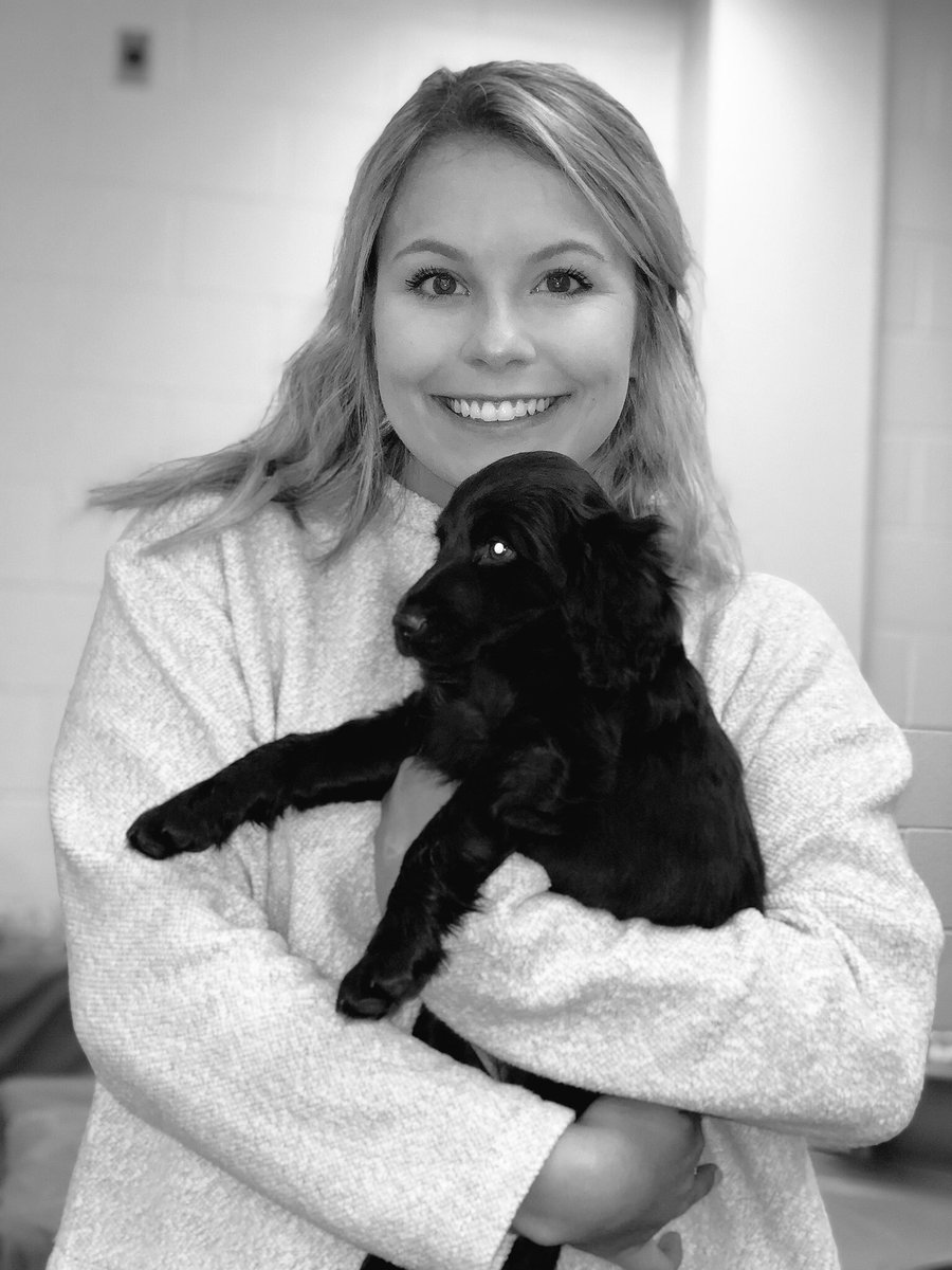 sga_mmc's tweet photo. Come visit puppies and get some snacks at the relaxation room!!! https://t.co/g44Fsi7qAw