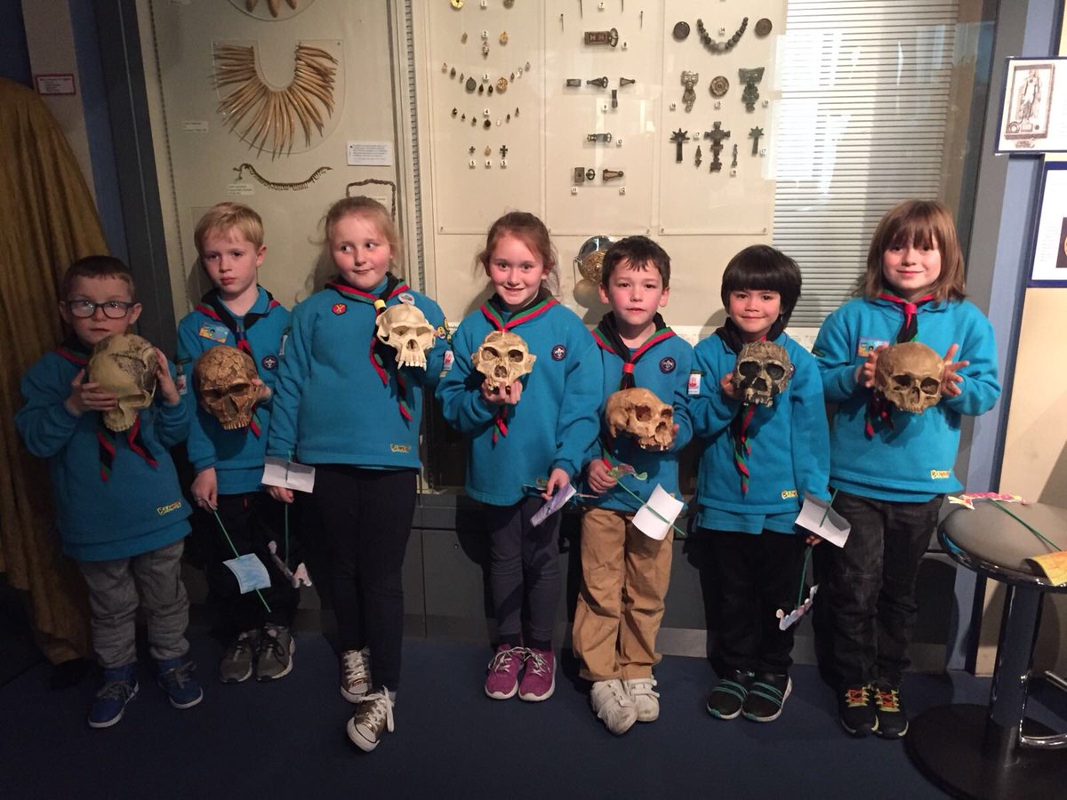 26th Picton Beavers tweet media