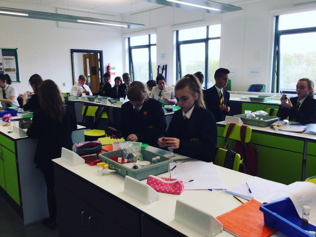 ACS_science's tweet photo. Excellent work by 7O1 making their model cells 👩🏻‍🔬👨🏼‍🔬🔬🌱 #cells #modelcells #handsonlearning https://t.co/WGer0S0RxJ