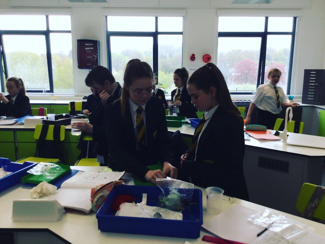 ACS_science's tweet photo. Excellent work by 7O1 making their model cells 👩🏻‍🔬👨🏼‍🔬🔬🌱 #cells #modelcells #handsonlearning https://t.co/WGer0S0RxJ