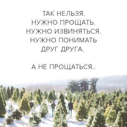 Мудрость веков tweet media