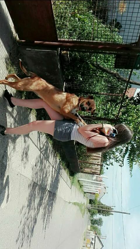 NagySeo's tweet photo. I really love dogs😊❤🐕 https://t.co/TBbhIIcUxM