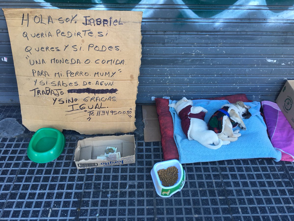 Popontherocks's tweet photo. Este señor da en adopción esos dos perritos, son cachorros y se los ve cuidados. Por favor compartan y si pueden darle una mano, lo encuentran en Corrientes y Scalabrini Ortiz https://t.co/od1h8T7Jfv
