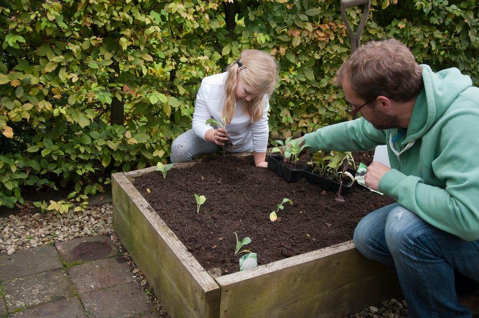 The Rhs On Twitter Raised Beds Are Great For Growing - 