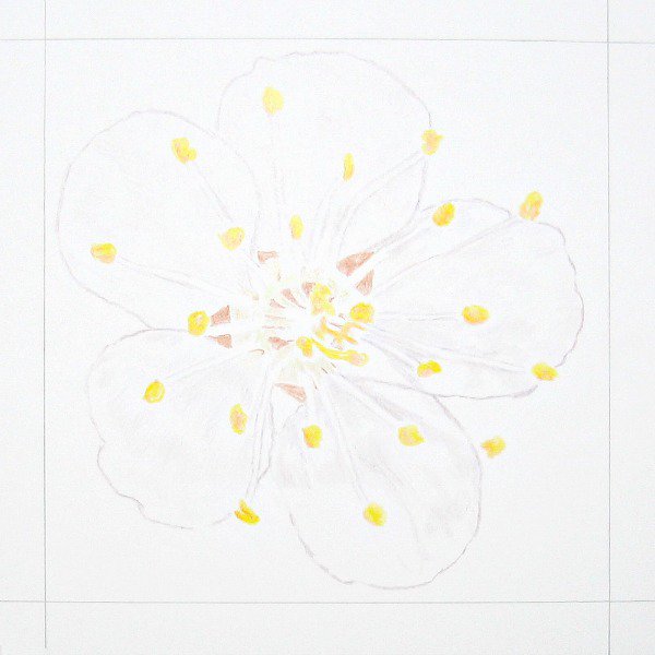 SandyMarie6156's tweet image. A Sketch, to Original Drawing, to Graph Pattern, to Crochet. It all starts with a sketch. artistsandymarie.blogspot.com/2018/04/apple-…
#sketch #drawings #graphpattern #crochet #tapestrycrochet