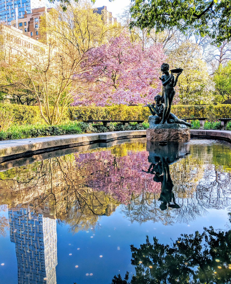 RT <a href="/BhavitaWalia/">Bhavita Walia</a> #Spring in <a href="/CentralParkNYC/">Central Park</a> #NYC #nycparks #TheEvelynNYC #TriumphHotels