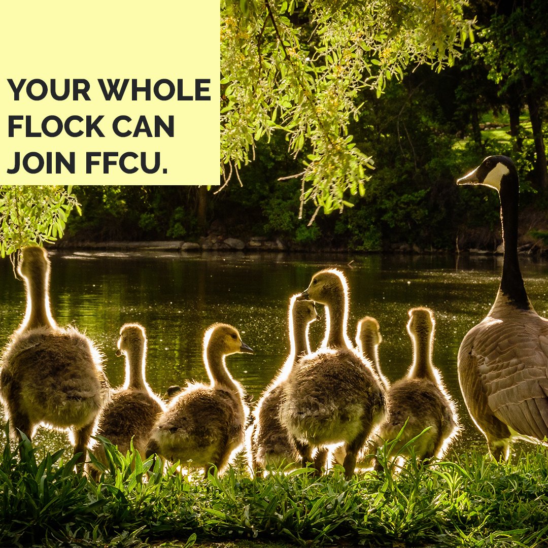 FIRSTFCU's tweet photo. From mother duck to baby ducklings, your family is welcome to join our family.  #FFCU #creditunion https://t.co/bTkae7OExC
