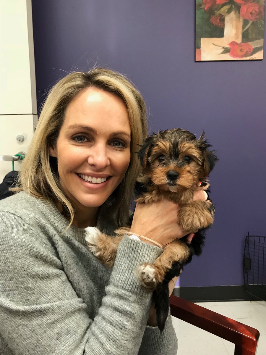 The day I met Tiny Teddy at the @spcaoftexas Now he’s (finally) house trained and part of the fam! #NationalAdoptAShelterPetDay Mark your calendars for our #ClearTheShelters event 8-18-18 ! @NBCDFW