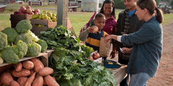 Hunger Solutions tweet media