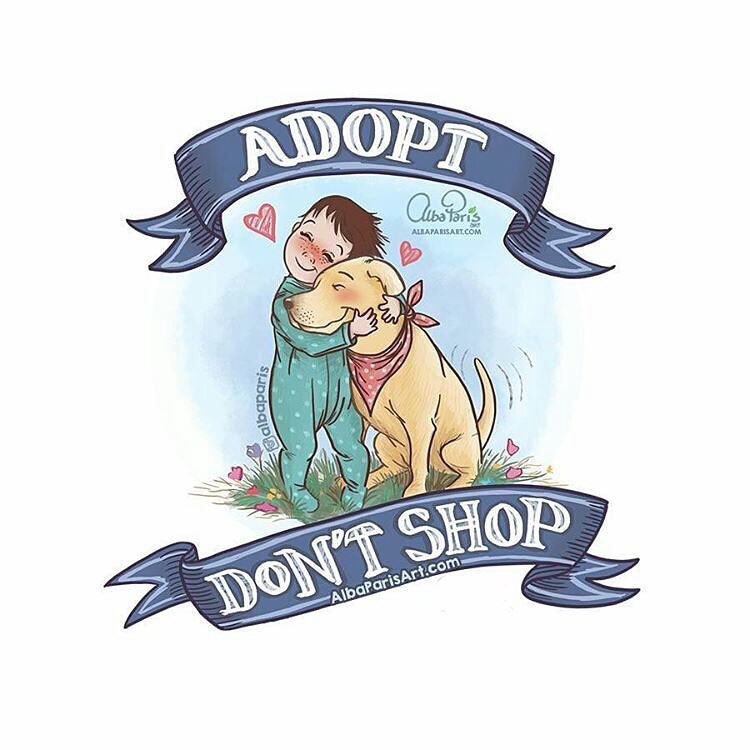TheHumaneLeague's tweet photo. Today is #NationalAdoptAShelterPetDay! The next time you’re looking for a companion, #AdoptDontShop! [Art by: @AlbaParisArt ] https://t.co/Zo55pnQq0x