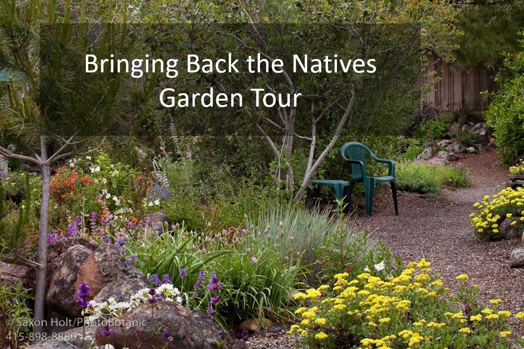 ISCBC's tweet image. Tomorrow's #BCinvasives webinar on Bringing Back the Natives Garden Tour will include #ChangingBehaviour principles the tour is based upon as well as beautiful #garden photos. @BeyondAttitude