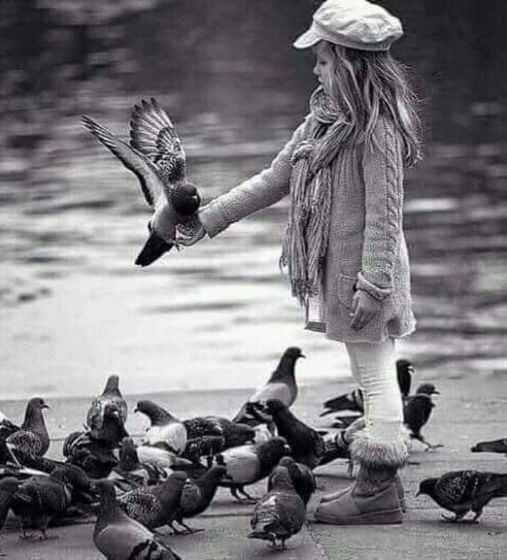 ram18157044's tweet photo. مـرۆڤ کە نقـووم بـوو ئەمرێت 
چ ��ە دەریـــا ، چ لە خەیــاڵ 
چ لە درۆدا ،چ لـە گونـاهـ
چ لە ڕق ، چ لە تــۆڵە 
ئاگــاداربـین نقـــووم نەبـین .! https://t.co/u4Q9Qp7HEU