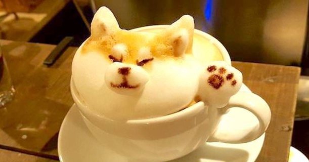 A man made his cappuccino foam look like a corgi — and people can't get over how realistic it looks thisisinsider.com/cappuccino-cor…
