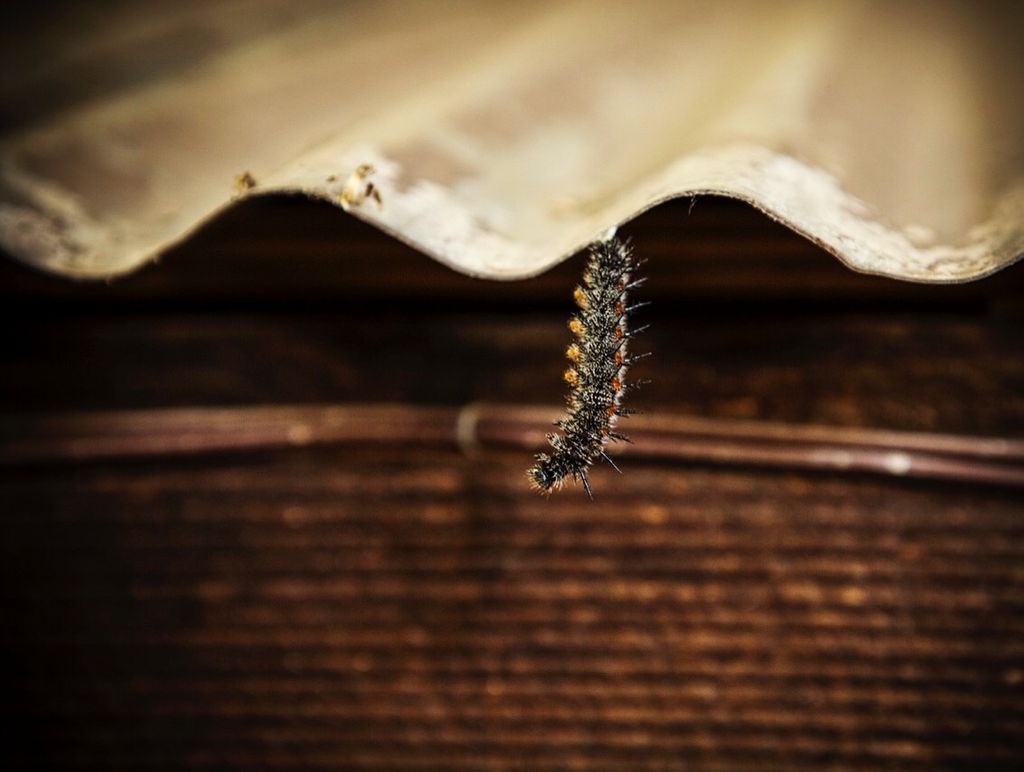 Hang in there, it's almost wine time! 🍷 🐛 #bonterrawine