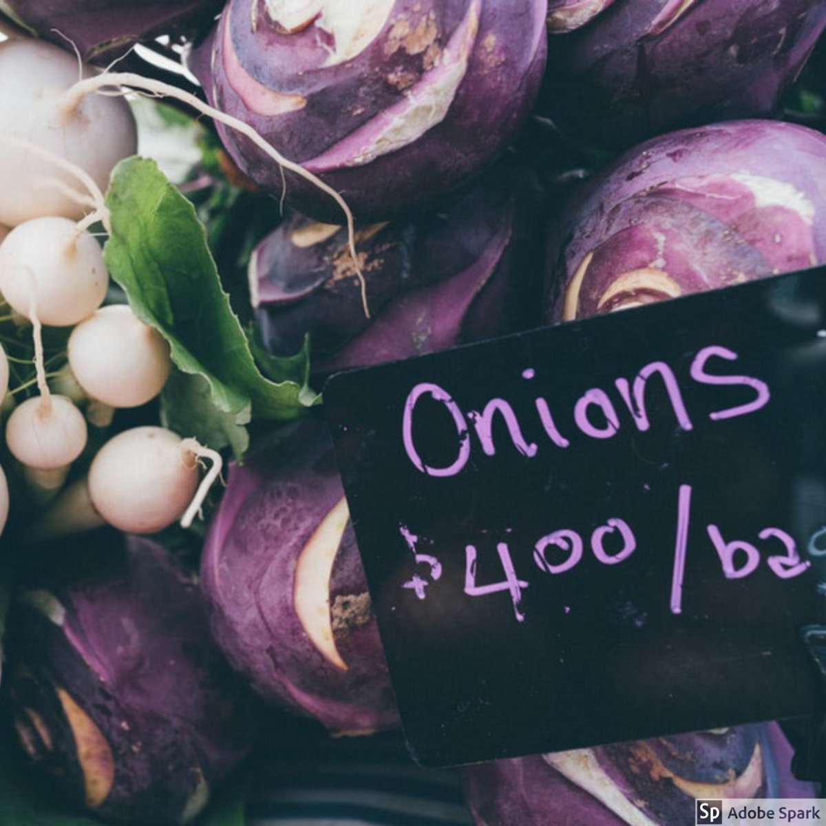 gutxyhealth's tweet photo. Garlic and onions - rich in polyphenols and allicin - are great for lowering cholesterol, supporting heart #health, and #cancer prevention. And they taste #DELICIOUS. https://t.co/BwmNJdNuij
.
#HealthyNation #WhoaScience #GutHealth https://t.co/It3hwivCBA