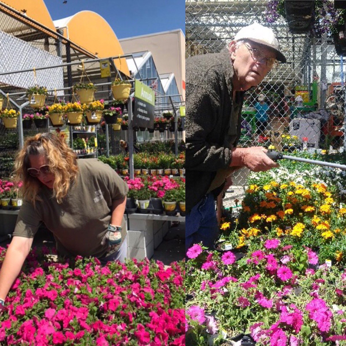A big THANK YOU to our amazing merchandising team for a great weekend of sales.  #VWIemployees from TN KY WV WNC and North AL you guys and gals are the BEST! <a href="/Pat_Fischetti/">Patrick Fischetti</a> <a href="/freddyplants/">Fplants</a> <a href="/JohnTuten2/">John Tuten</a> <a href="/VWIGreenhouse/">VanWingerden 🌱</a> <a href="/7Karthur/">Kim Arthur</a> <a href="/VWIHuntsville/">Sam Jackson</a> <a href="/vwiAsheville/">Chris Creel</a> @StaatsBarry