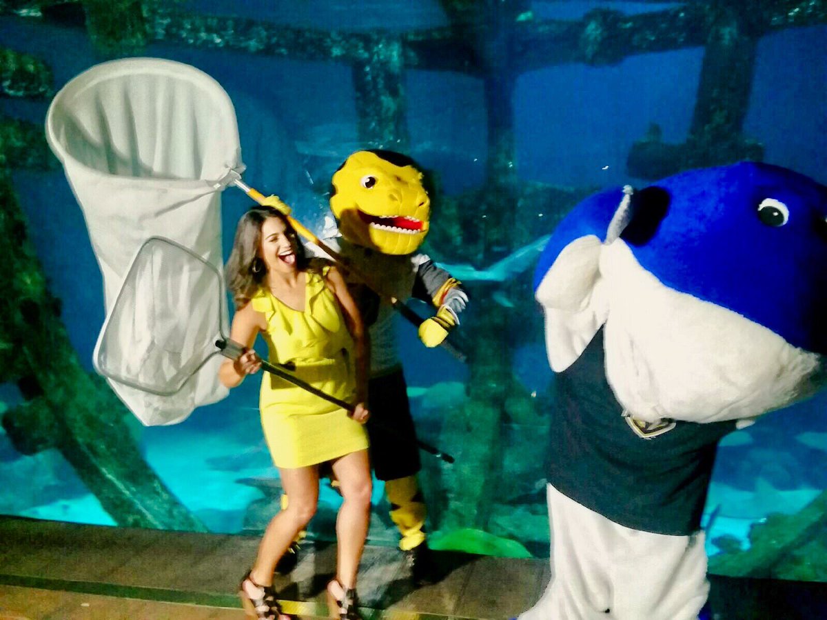 ChanceNHL tweet picture