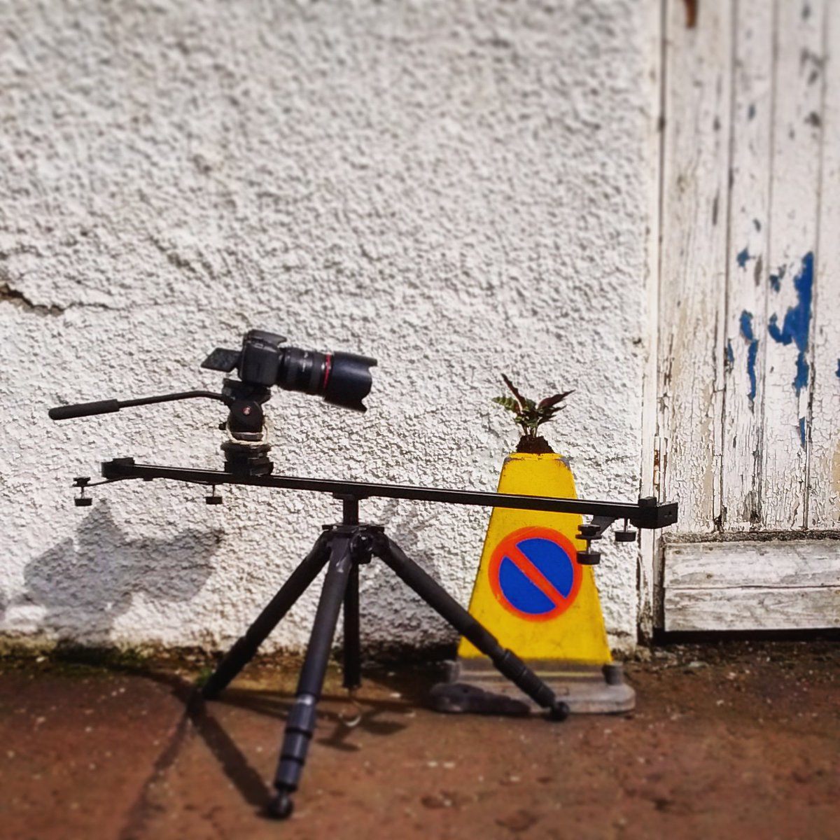 Filming #Rowanbank #Faeries #GuerrillaGardening #BehindtheScenes #rowanbankenvironmentalartsandeducation #wheresmytree  #imaginaryforests #scottishnaturalheritage #thewoodlandtrust #woodlandtrust #streettrees #sitespecifictheatre #aerial #EcoCoLIFE #EveryChildWild #WildTime