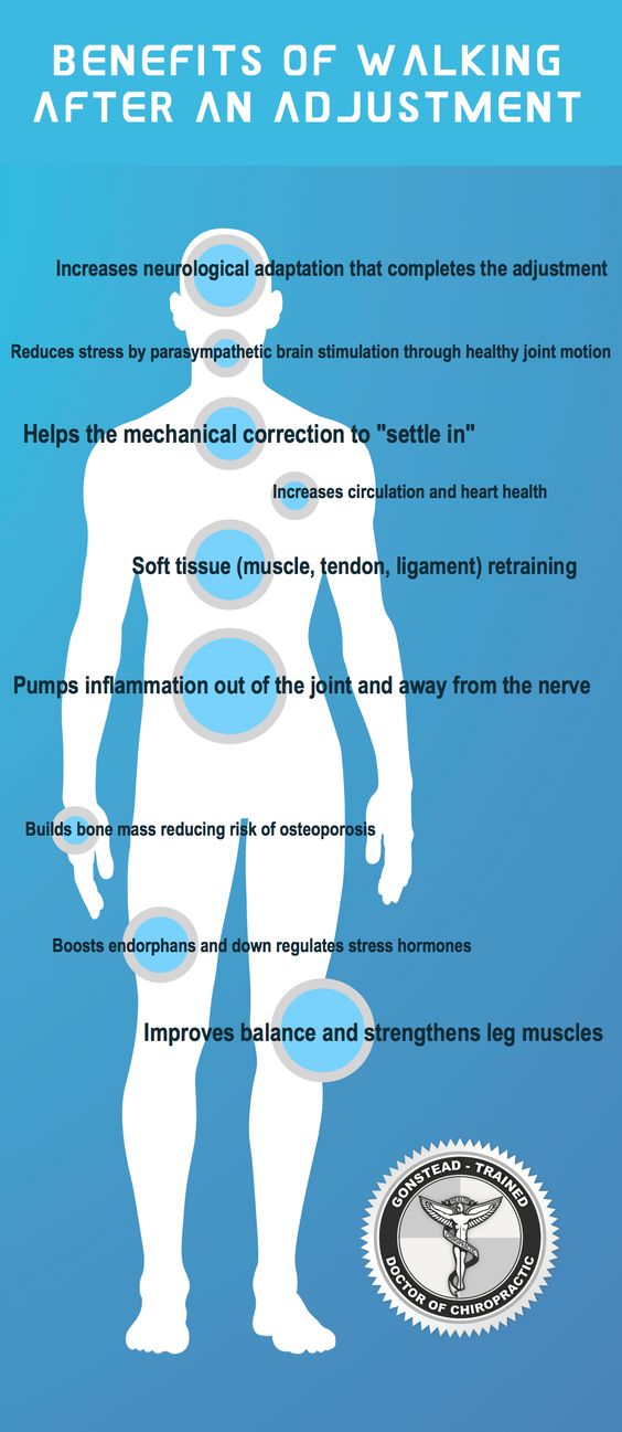 Sciatic Nerve