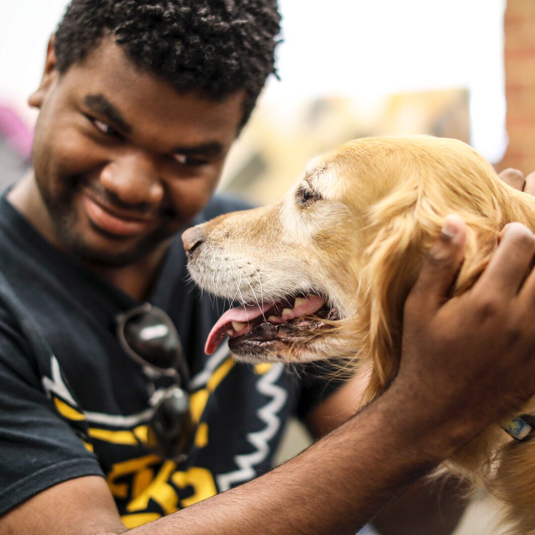 kennesawstate's tweet photo. What better reason to study for finals at the library on the Marietta Campus than 🐶👅? https://t.co/ccKp42l0KI