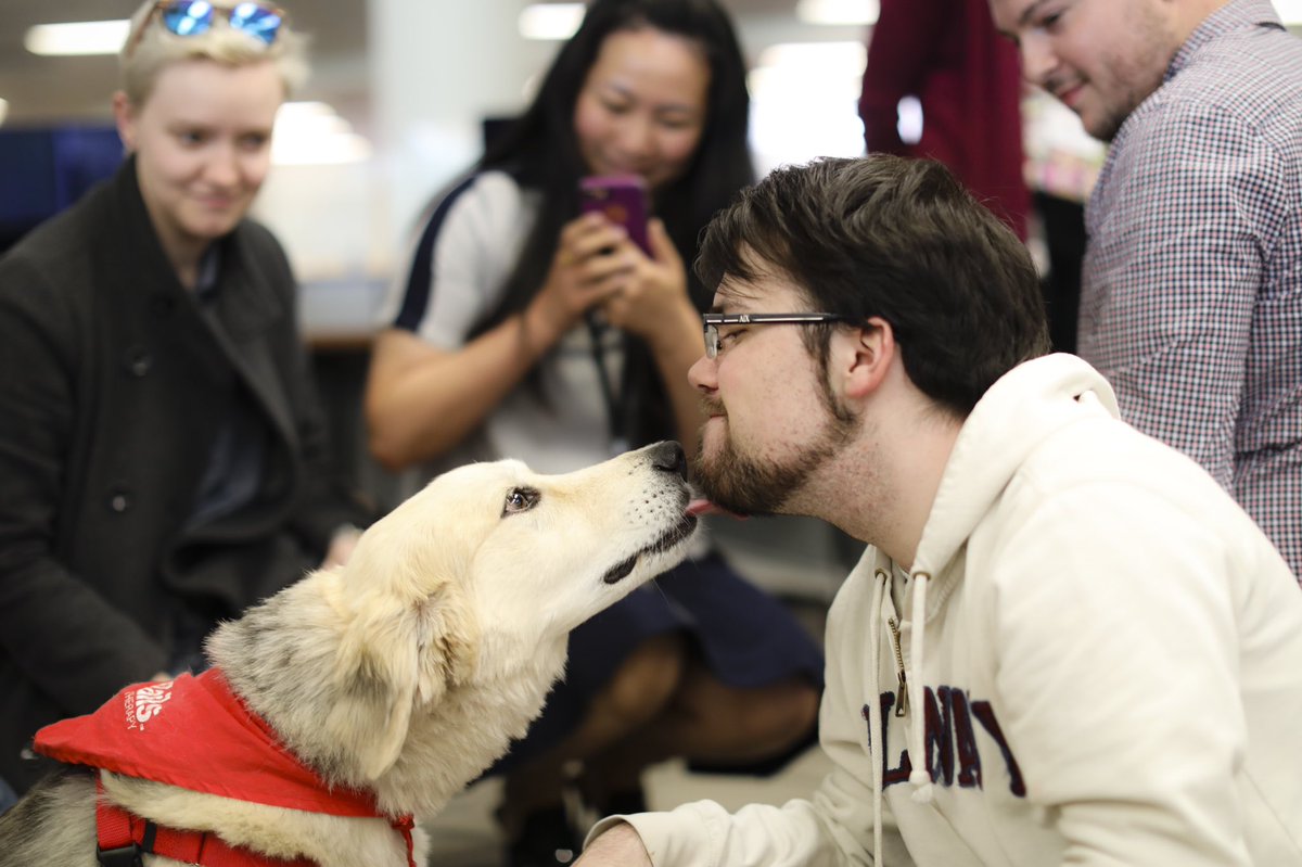 kennesawstate's tweet photo. What better reason to study for finals at the library on the Marietta Campus than 🐶👅? https://t.co/ccKp42l0KI