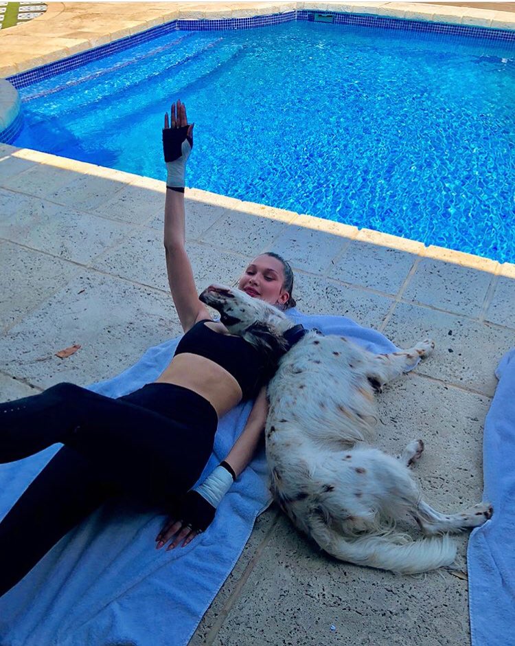 bhadidnews's tweet photo. bellahadid: 
"Wooowww!!!!!! I love this....Congratulations @Wag for donating over 5 million meals to shelter dogs across America.... through its partnership with @greatergoodorg no puppy or person should ever go unloved or unfed... So proud!!! #AD #charlieboyworkouts #streeetch" https://t.co/X6aIq3MTMb