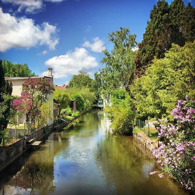 ChNiedermeier's tweet photo. Moosach #freising #freising_rathaus #sonnenschein #sunshine #nature #natur #naturelovers #naturliebhaber #wasser #water #river #spaziergang #walking #meinestadt #myhometown #sonne #trees #flieder #blüten #blütenzauber #bloom #springtime #ig_freising #bl… https://t.co/9bvXEkytzJ https://t.co/2xhCJGUi2M