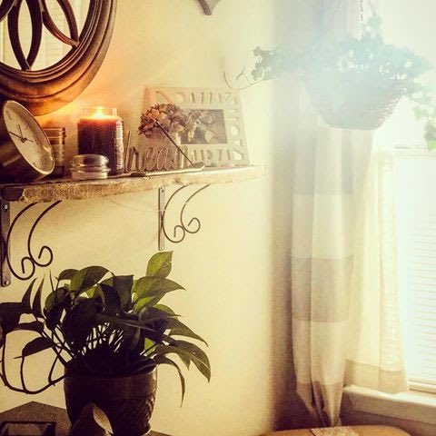 intheperspectve's tweet photo. Create a space that is yours. Then, no matter who or what changes in your life, you always have somewhere to look forward to. #WordsOfWisdom #mondaymantra #plantsaremypets #safespace #PowerInThePerspective https://t.co/1pqKqRcgbj