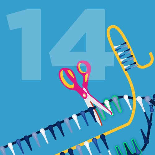 NIH's tweet photo. The first genome modifications started in the 70s, but 2012 was a landmark year with the development of CRISPR. It’s fast, furious, cheap and effective. Genome editing is paving the way for treatments in Sickle Cell and HIV prevention #15for15 #DNADay18 https://t.co/A9OOEfWFzu https://t.co/JSz0mN5HUy