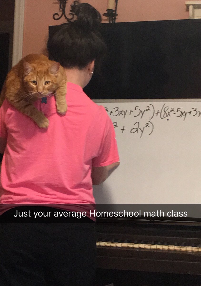 johnbcristt's tweet photo. Just your average homeschool math class... amiright @johnbcrist ?? https://t.co/xlVCQxKzQy